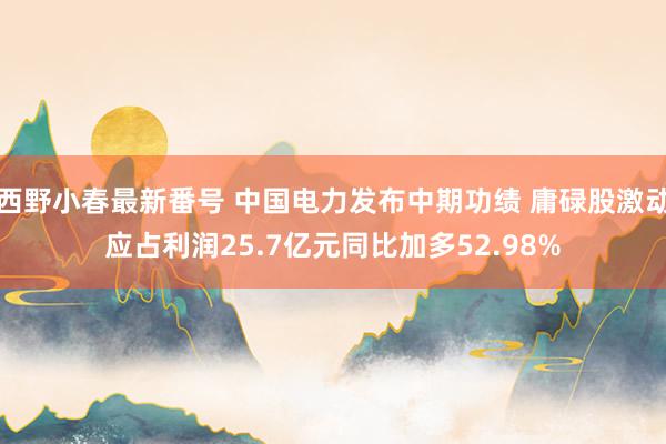 西野小春最新番号 中国电力发布中期功绩 庸碌股激动应占利润25.7亿元同比加多52.98%